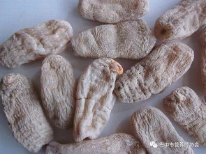 冬季養(yǎng)生 天麻用起來