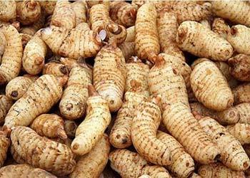 [天麻]天麻的功效與作用及食用方法-天麻泡水喝的功效-天麻的副作用_知識百科