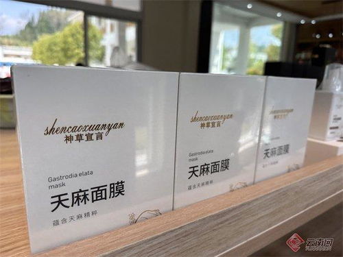 農(nóng)民變股民 云南彝良寶藏村激活鄉(xiāng)村生態(tài)資源