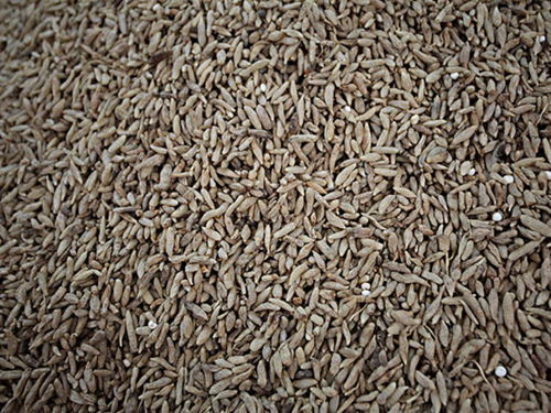 金寨天麻專賣店 金寨天麻價(jià)格 金寨天麻哪里買(mǎi) 途牛移動(dòng)站