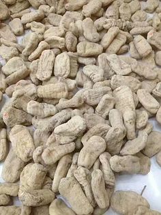 天麻 功效解析與現(xiàn)代應用