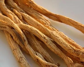 即墨古城年味濃 趕年集購(gòu)隴南天麻，賞白馬人歌舞迎新春